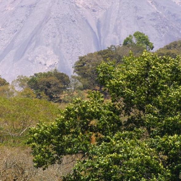 Disfruta de las bellezas naturales de Colima